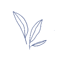 Leaf Leaves Sticker