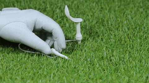majorworld giphygifmaker GIF