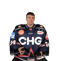 Ice Hockey Sticker by Ravensburg Towerstars