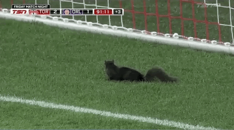 GIF by Orlando City SC