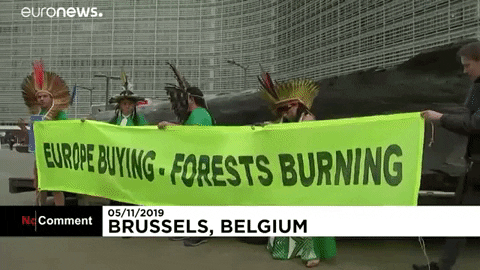 Protest GIF by euronews
