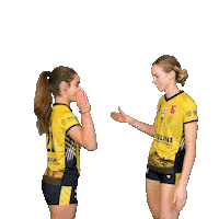 Sport Fun Sticker by cuneo_granda_volley