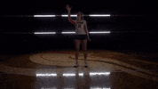 MSUMDragons dragons msum msum dragons msumvb GIF