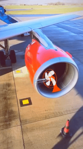 katleehornstein giphygifmaker GIF