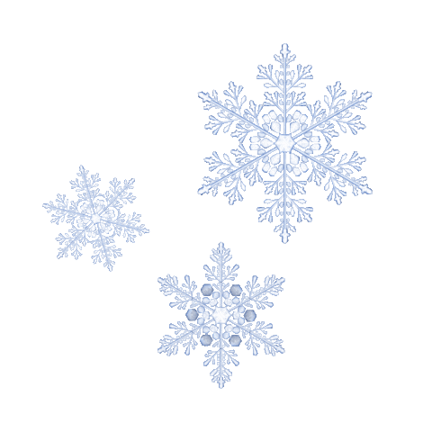 Winter Solstice Sticker by mojadm