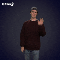 Stop It GIF by SWR3