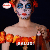 SidralMundet drink cheers apple drinks GIF