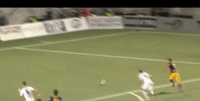 assist new york red bulls GIF by NYRB II