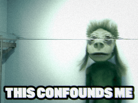 This Confounds Me GIF