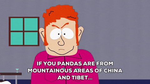china teacher GIF by South Park 