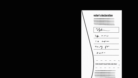 hilary-schenker giphyupload pennsylvania election2020 nonakedballots GIF