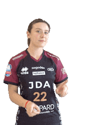 Handball Sticker by JDA Dijon Basket