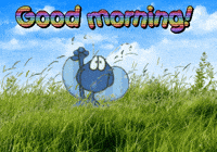 Compliments GIF