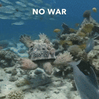 gray_turtle art war turtle helmet GIF