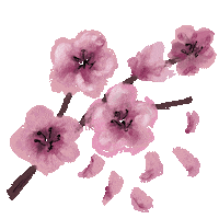Cherry Blossom Flower Sticker by Xiwikj