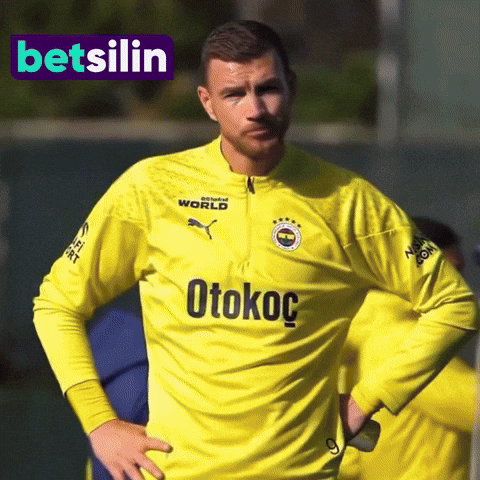 Edin Dzeko GIF by betsilin