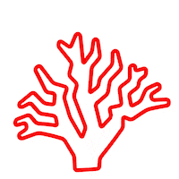 Coral Reef Ocean Sticker by Dean Porter