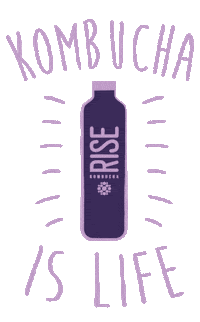 Kombuchaislife Sticker by Rise Kombucha