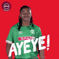 south african soccer GIF