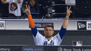 Ny Mets Sport GIF by New York Mets