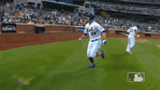 excited ny mets GIF by New York Mets