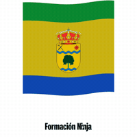 Castilla Y Leon Flag GIF by Formación Ninja