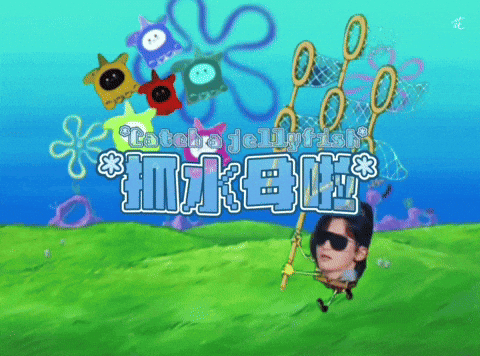 Spongebob Catch GIF