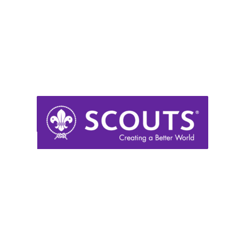 Better World Scout Sticker by World Scouting