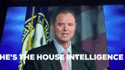 Fail Adam Schiff GIF by The Daily Signal