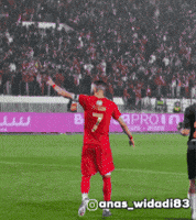Orange Club GIF