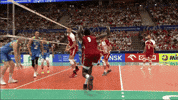Group Hug Jump GIF by Volleyball World