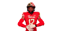 College Football Sticker by Maryland Terrapins