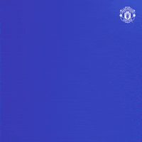 Sport Fawsl GIF by Manchester United