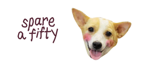 Dog Charlie Sticker