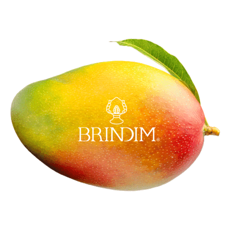 Brindim fruit mango aperitivo brindim Sticker