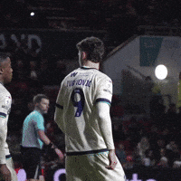 Celebration Hug GIF by MillwallFC