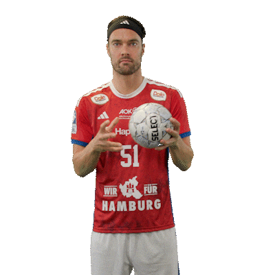 Handball Hamburg Sticker by DAIKIN HBL