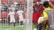 sevilla fc good job GIF by Sevilla Fútbol Club