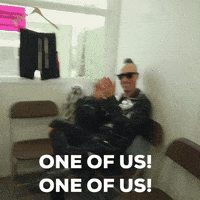 Frank Zummo Ec GIF