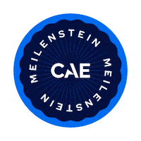 German Deutsch Sticker by CAE