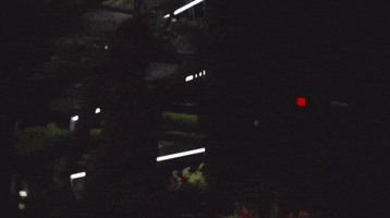 fashion rihanna GIF by SAVAGE X FENTY