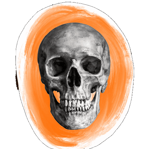 Halloween Skeleton Sticker
