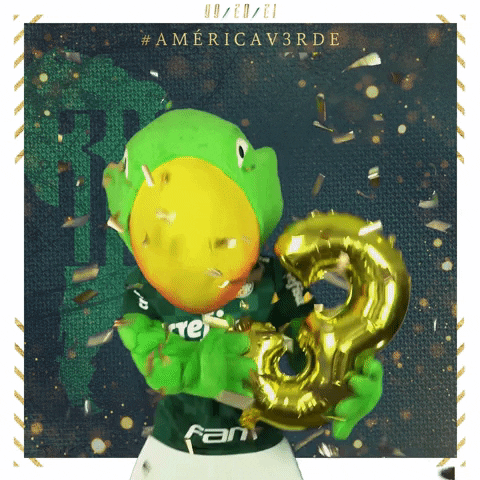 Soccer Futebol GIF by SE Palmeiras