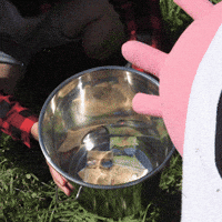 jpbgvan money cash cow cashcow jrcountry GIF