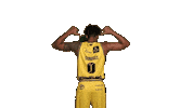 Basketball Koszykowka Sticker by Trefl Sopot