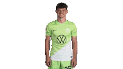 Football Swipe Up Sticker by VfL Wolfsburg