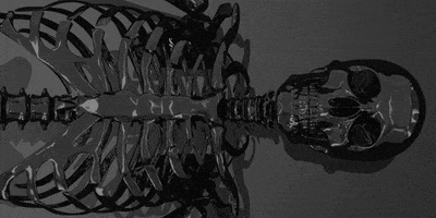 animation art GIF by Loxel