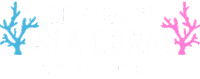 Decameronhotels Sticker by Hoteles Decameron