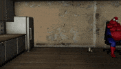 spiderman aesthetics GIF by chavesfelipe