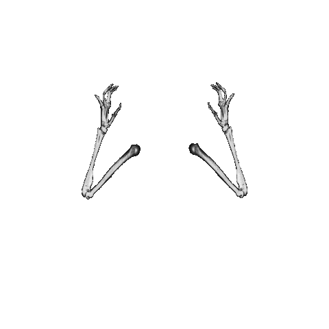 day of the dead dance Sticker by Peter Bjorn and John